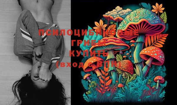 МДПВ Абдулино