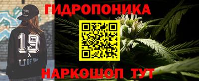 a pvp Гусь-Хрустальный