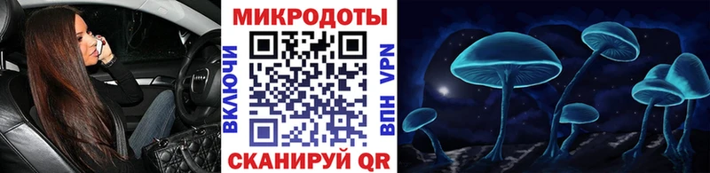 Галлюциногенные грибы Psilocybine cubensis где купить кракен как зайти Прохладный