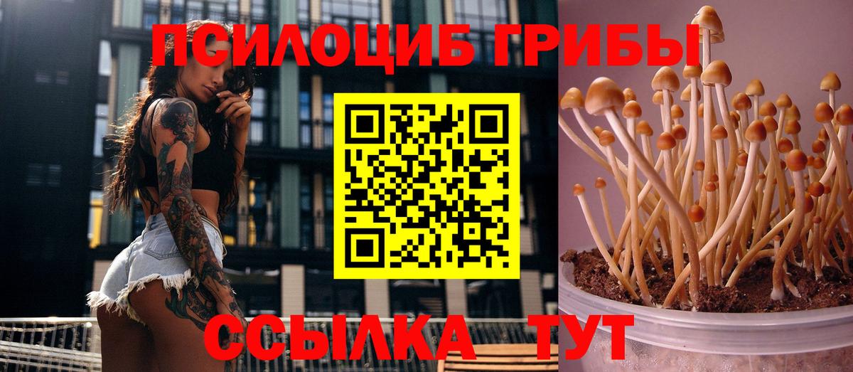 Галлюциногенные грибы мухоморы  Вход с VPN  Прохладный 